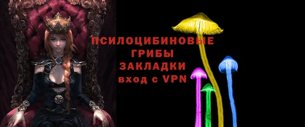 хмурый Богородицк