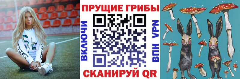 Псилоцибиновые грибы мухоморы  omg рабочий сайт  Муравленко 